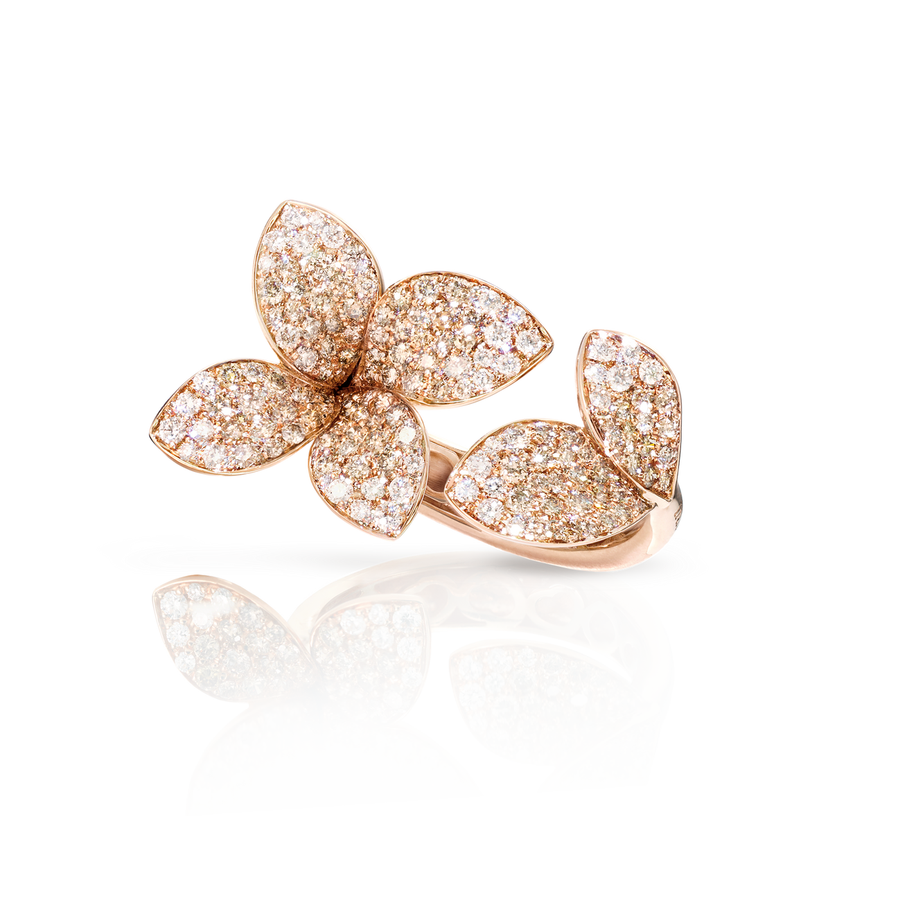 Anello Giardini Segreti